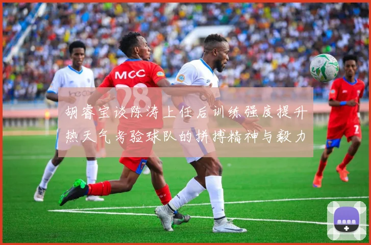 胡睿宝谈陈涛上任后训练强度提升热天气考验球队的拼搏精神与毅力