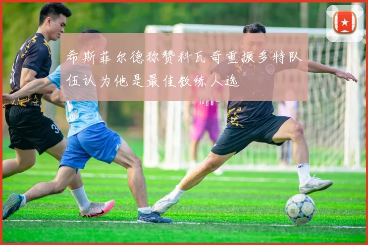 希斯菲尔德称赞科瓦奇重振多特队伍认为他是最佳教练人选